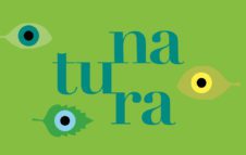 Natura: la mostra-gioco del Muba di Milano