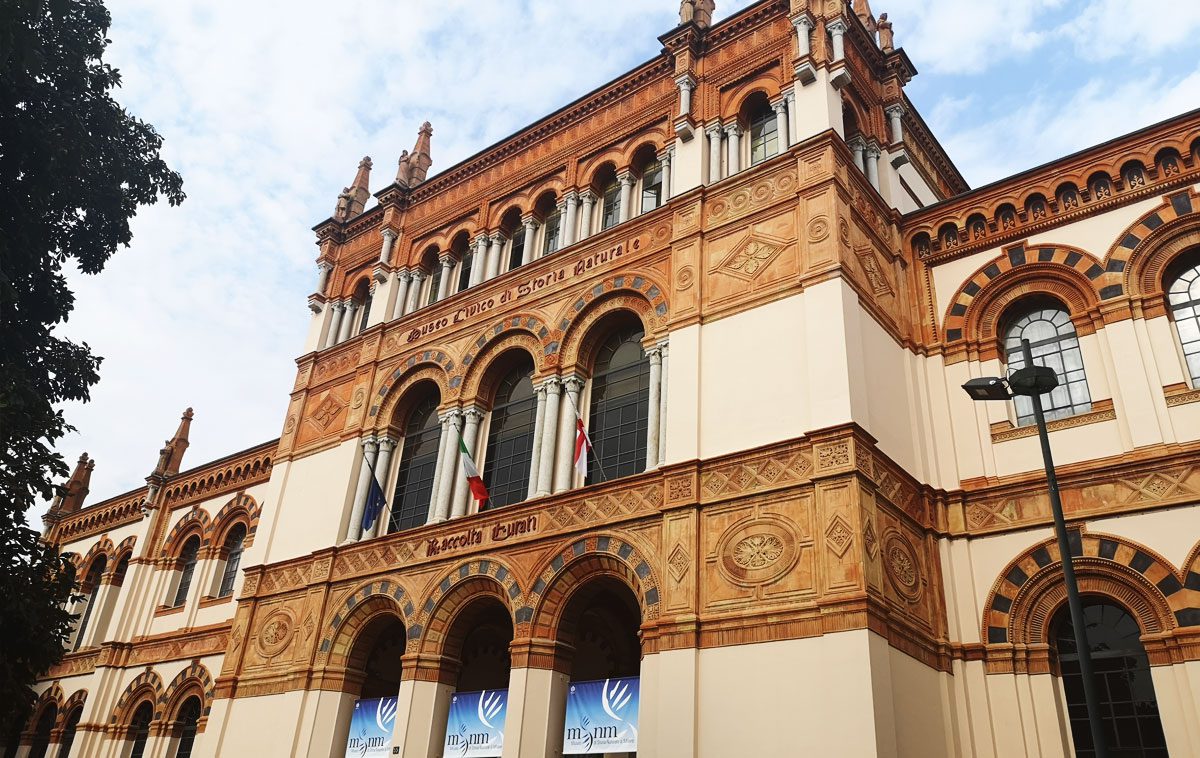 Il Museo Civico di Storia Naturale di Milano un piccolo tesoro dedicato alla Natura Il Museo Civico di Storia Naturale di Milano un piccolo tesoro dedicato alla Natura