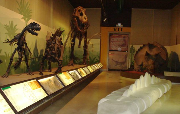 Museo Storia Naturale Milano