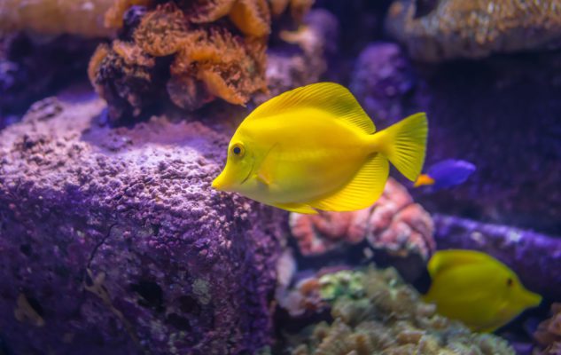 Acquario Civico di Milano