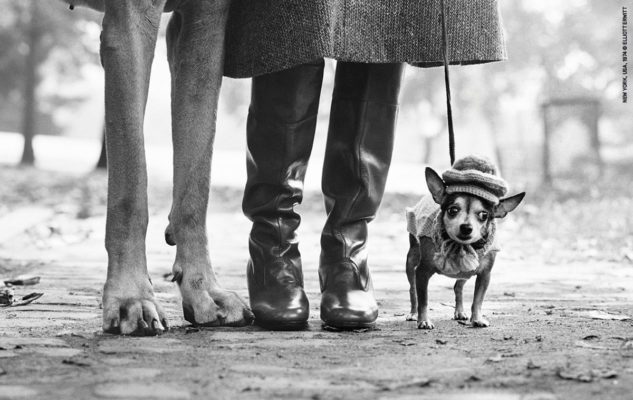 Elliott Erwitt