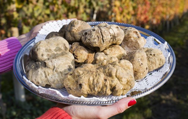 Fiera Nazionale del Tartufo 2019 a Milano