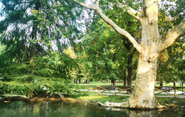 I 5 parchi e giardini più belli di Milano