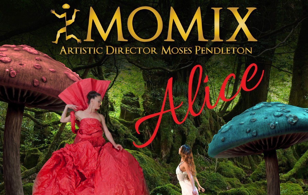 Momix Alice Milano 2022