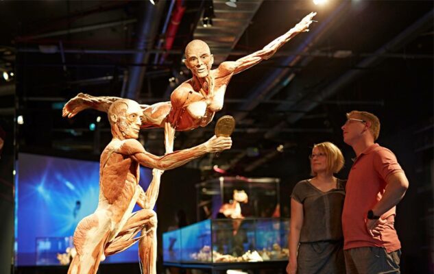 Body Worlds mostra Milano