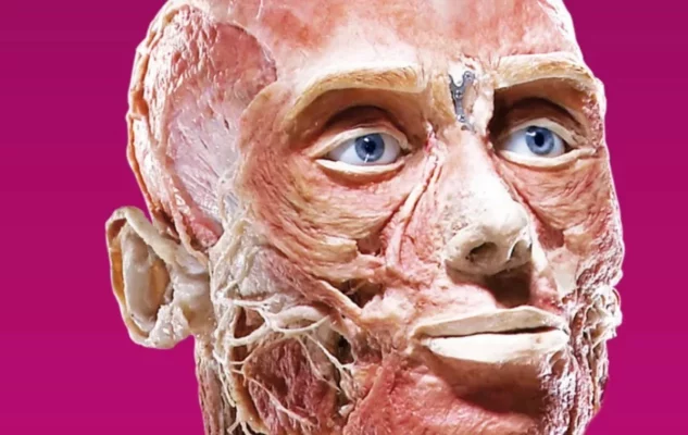 Body Worlds Milano 2023