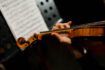 Concerto per il 20° Anniversario della Fondazione Veronesi a Milano nel 2023: data e biglietti