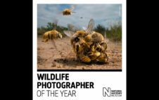 Wildlife Photographer of the Year - Milano 2023: info, date e biglietti