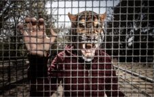 "A casa allo zoo" al Teatro Filodrammatici di Milano nel 2024