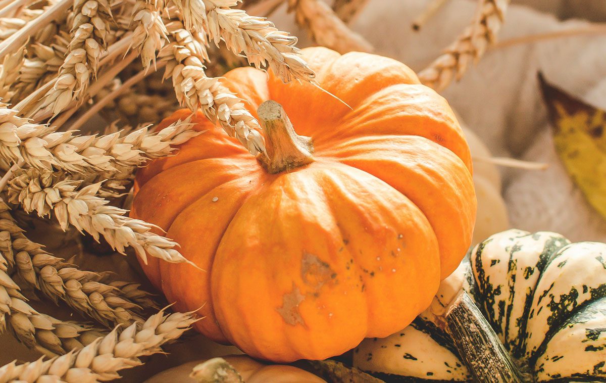 Festa della Zucca 2024 di Gavirate