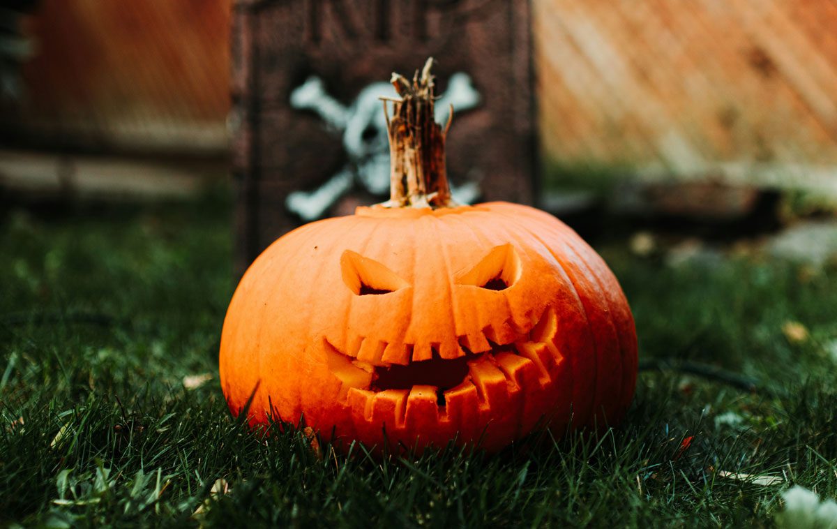 Taglio della Zucca di Halloween 2024 a Cernusco sul Naviglio