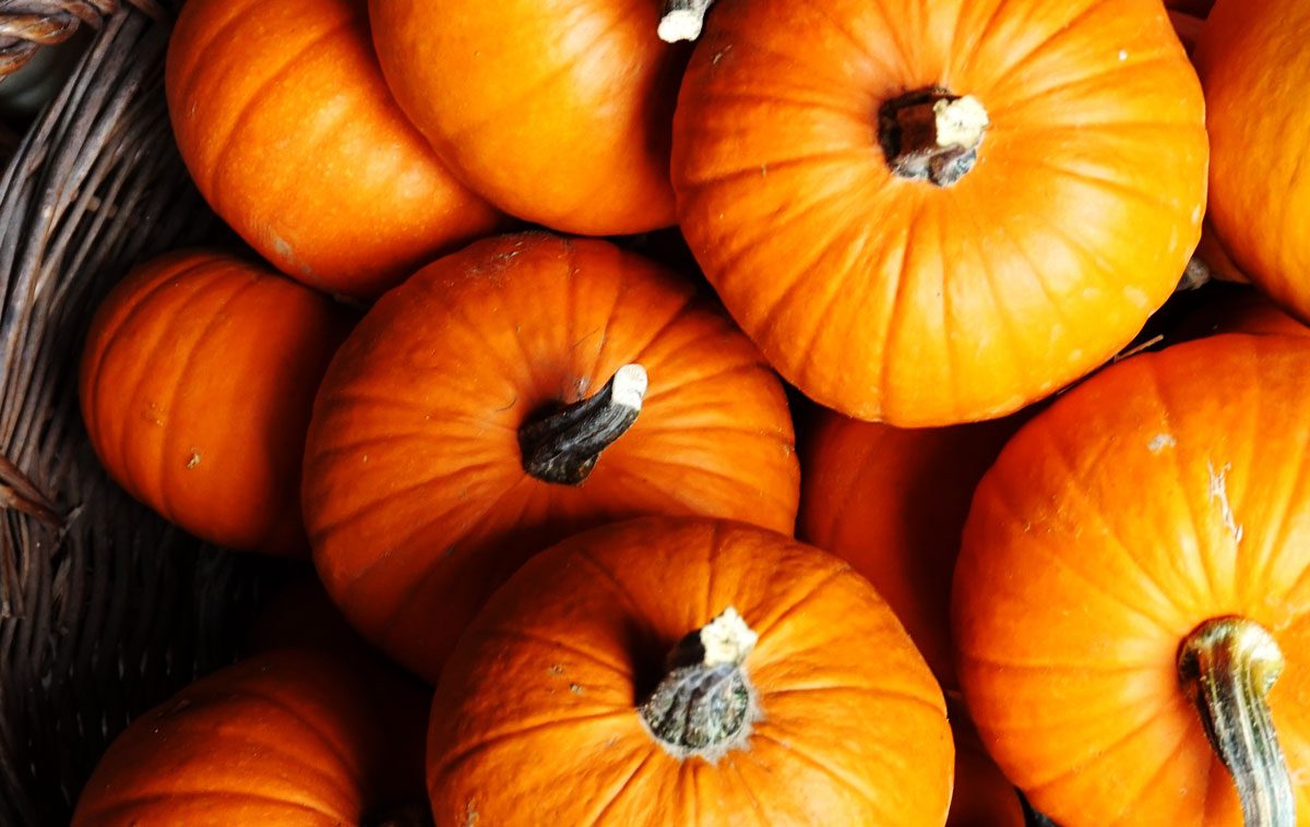 Sagra nella Zucca 2024 di Mezzago