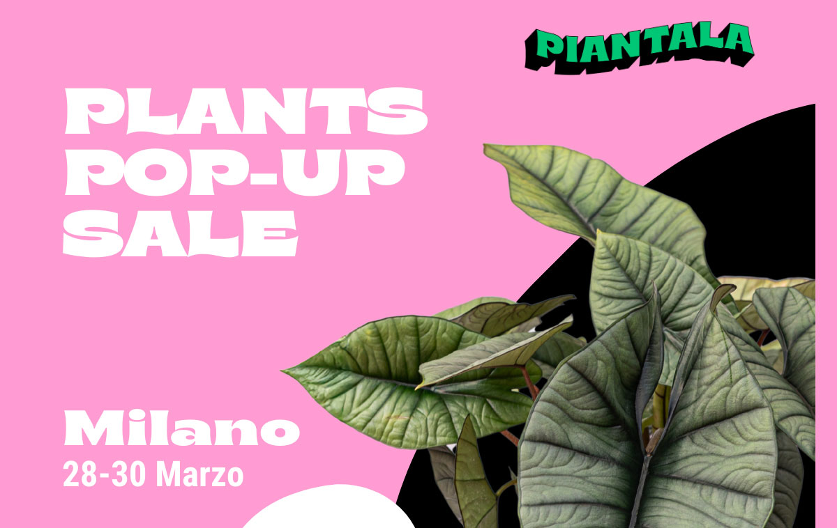 Piantala Milano 2025