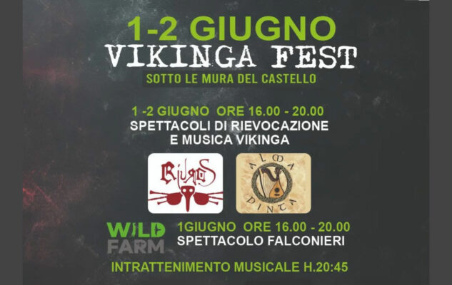 Vikinga Fest 2025