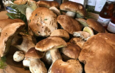 Fungolandia torna a Olmo al Brembo nel 2025 tra funghi, escursioni e sapori d’autunno