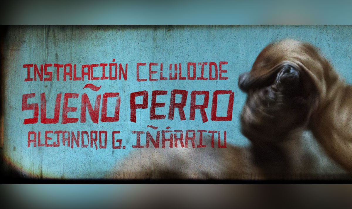 Sueño Perro: alla Fondazione Prada l’omaggio inedito al film Amores Perros