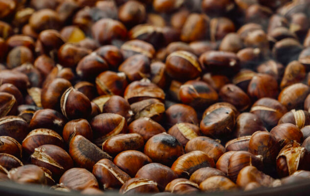 Festa delle Castagne 2025 a Bracca
