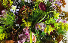 Torna Fiori e sapori d’autunno 2025 sul Naviglio Grande: data, orari e programma
