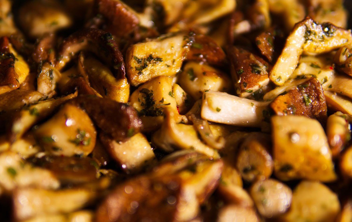 Sagra dei Pizzoccheri e dei Porcini 2025 a Senago