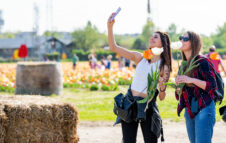 Campo dei tulipani 2026: apre vicino Milano la distesa colorata di Steflor