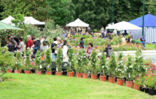 Orticola 2026: torna a Milano il festival del verde tra rarità e piante incredibili