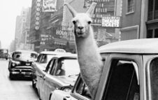Inge Morath: a Milano la mostra con gli scatti della prima reporter donna della Magnum