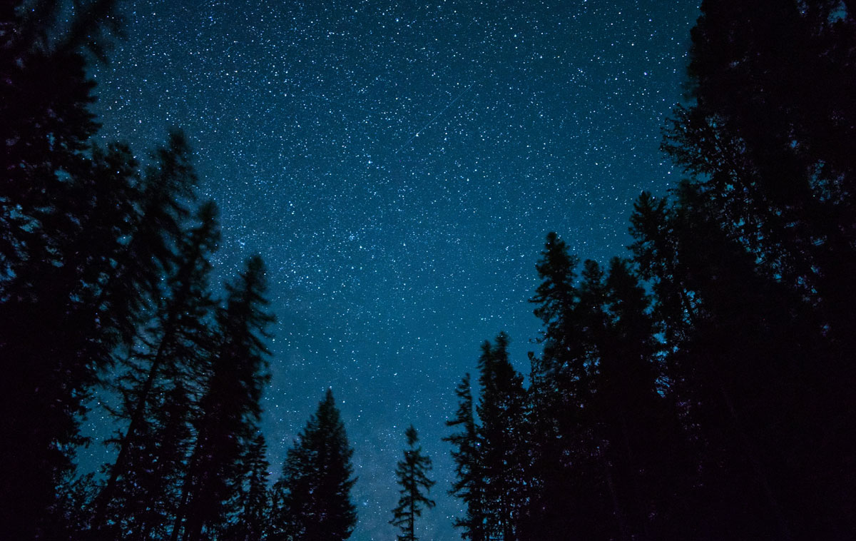 Cielo stellato