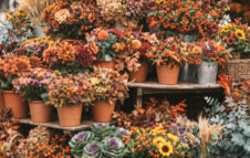 Fiori e sapori d’Autunno: torna l'atteso appuntamento lungo i Navigli a Milano